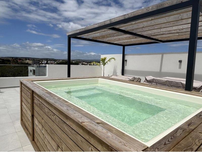 Exceptional Penthouse Living in Pereybere - Photo 9