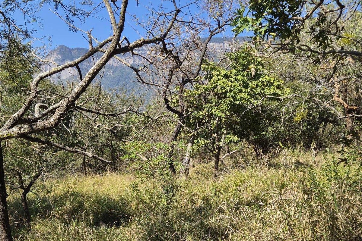 A scenic view of the natural landscape and mountain range from the vacant residential property.