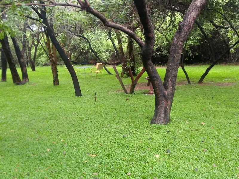 URGENT SALE – PRIME RIVERFRONT ECO-LODGE INVESTMENT - Photo 8