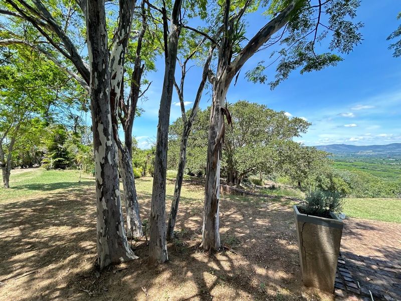 Bushveld Lifestyle Farm - Photo 2