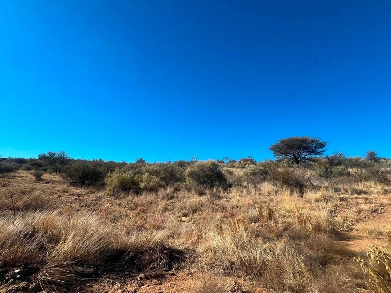A wide-angle view of the natural, undeveloped landscape featuring native shrubs, dry grasses, and scattered trees under a clear blue sky.