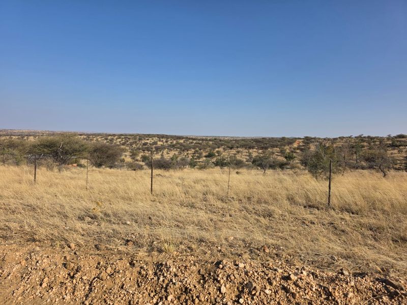 Expansive view of the natural veld landscape featuring dry grassland and scattered indigenous trees, enclosed by simple wire fencing.