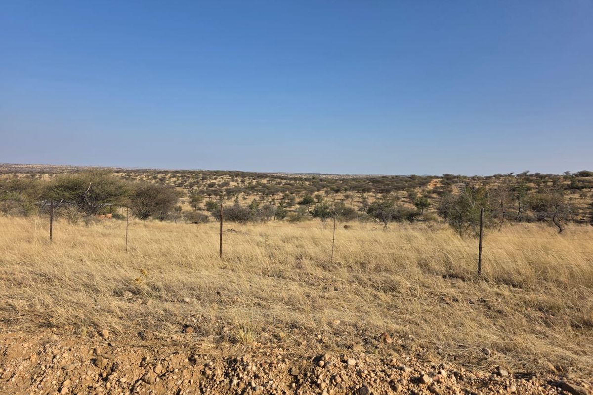 Expansive view of the natural veld landscape featuring dry grassland and scattered indigenous trees, enclosed by simple wire fencing.