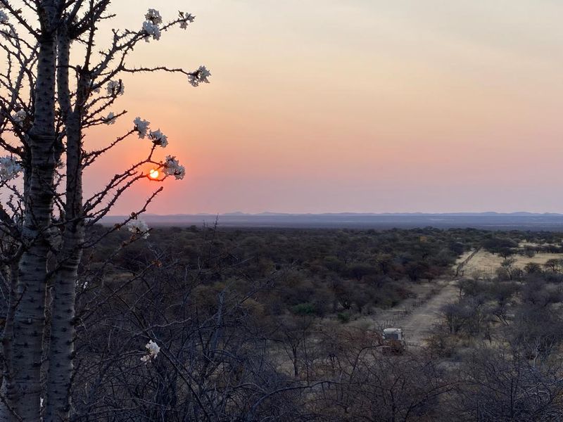 A 700 hectare farm just outside Outjo, where the bushveld opens into wide plains and clear skies, lies a well-developed farm — Ideal for irrigation & small stoc - Photo 6