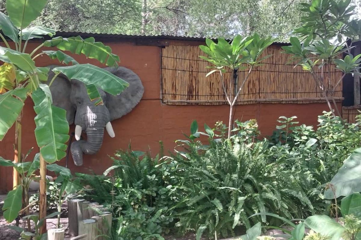 Amazing place in the Zambezi Region, Cabins and Campsite as a going concern! - Photo 2