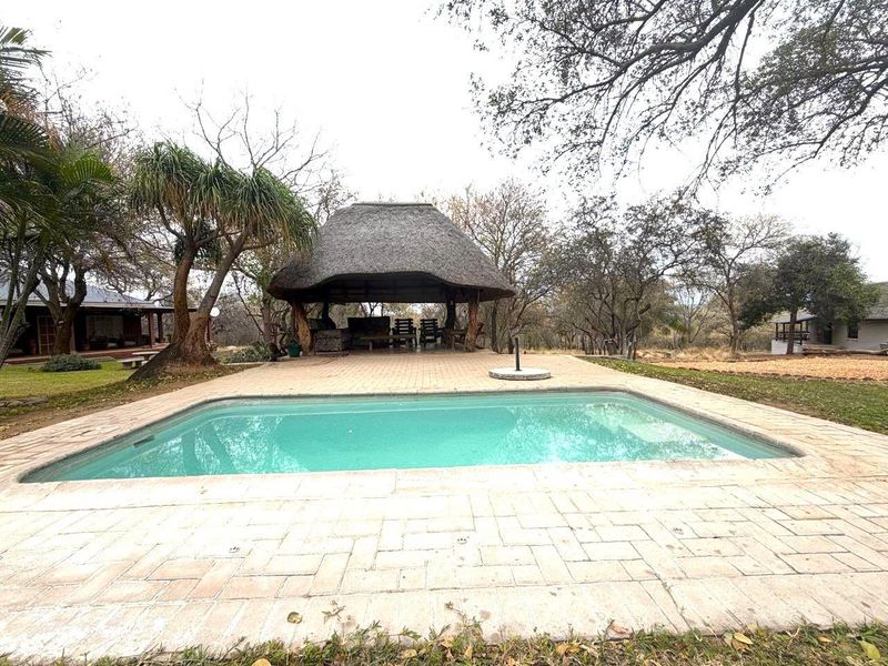 Outdoor pool area featuring a paved deck and a traditional thatched lapa, set within a natural bushveld garden environment.