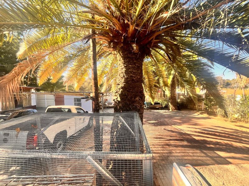 Golden oldie for sale in Pioneerspark for the entrepeneur! - Photo 3