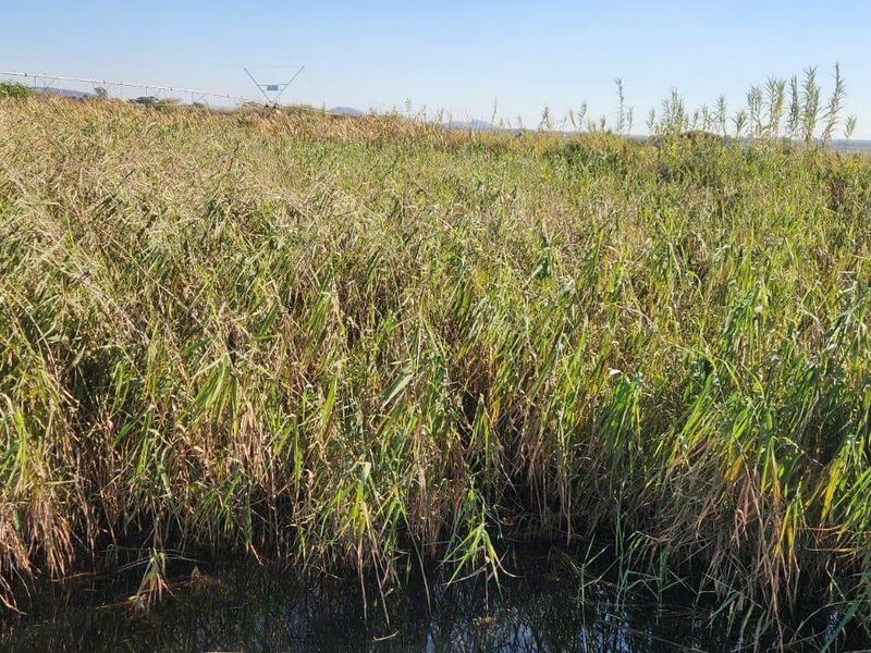 25 Hectares Irrigated Land for sale - Photo 3