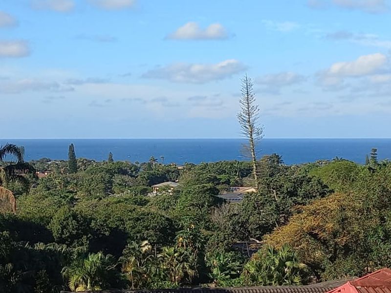 Sea Views, Space & Solar Living – The Ultimate Shelly Beach Entertainer’s Dream - Photo 2