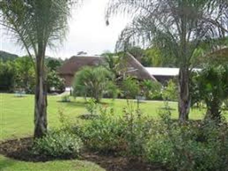 Forgotten Piece of Paradise! - Photo 7