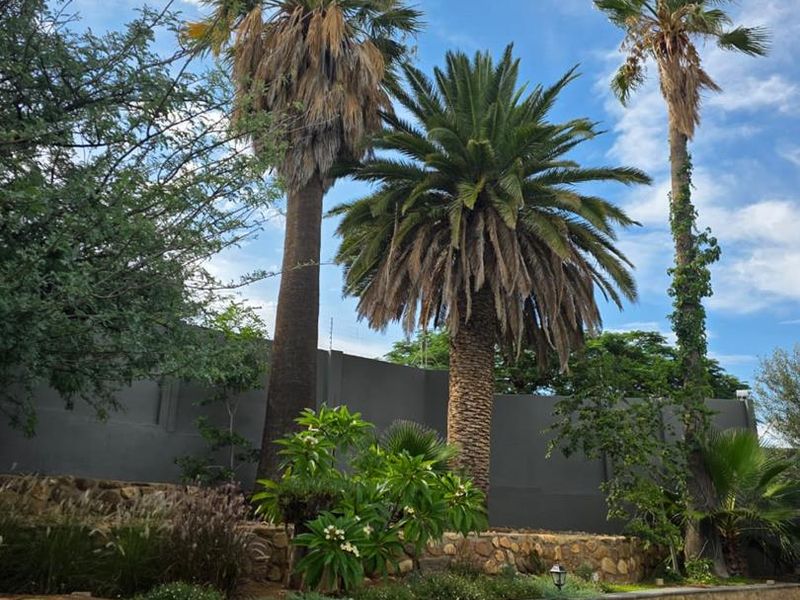 A well-maintained garden area featuring mature palm trees, tiered stone retaining walls, and a secure perimeter wall with electric fencing.