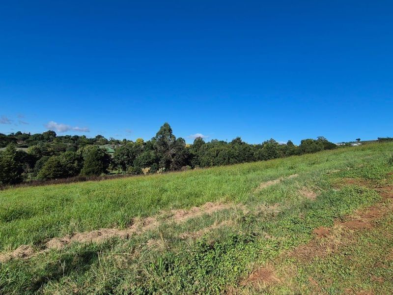 Build Your Dream Home in the Heart of St John’s Village - Photo 4