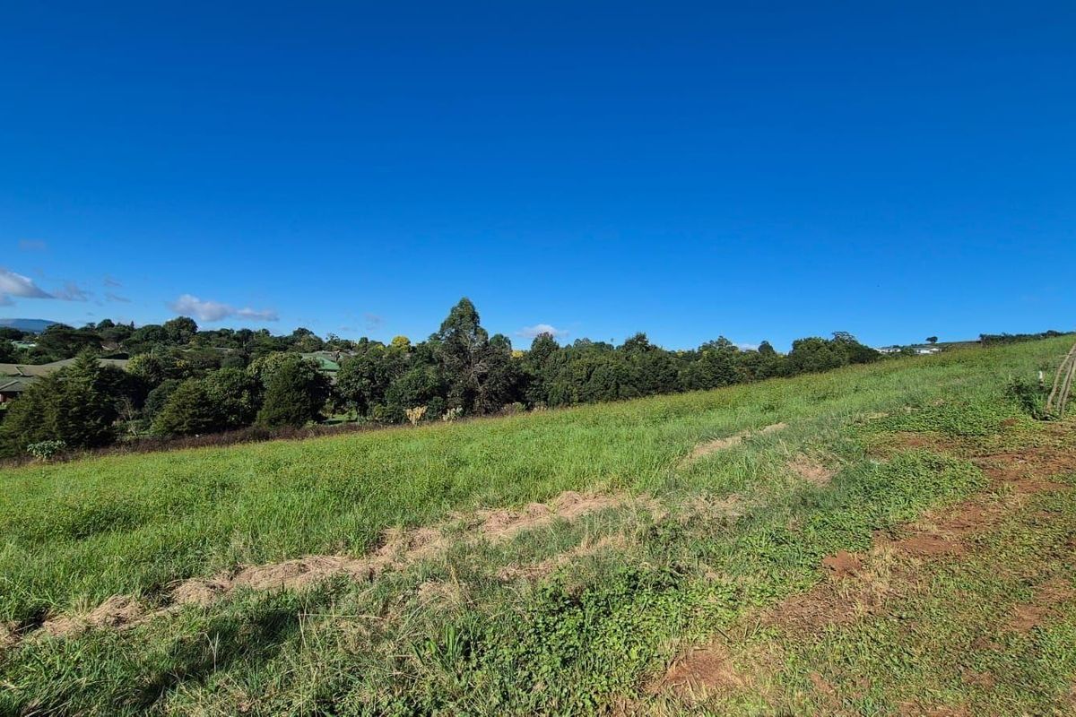 Build Your Dream Home in the Heart of St John’s Village - Photo 4