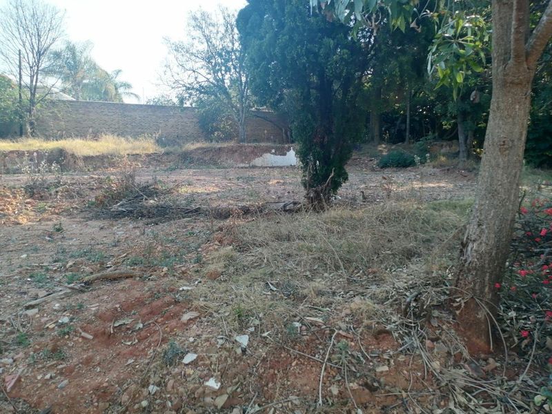 A vacant residential plot featuring mature trees and a brick boundary wall, requiring clearing and landscaping for development.
