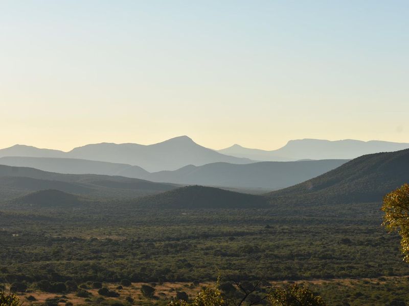 MODJAJI AT MABULA!  BIG FIVE COUNTRY! - Photo 5