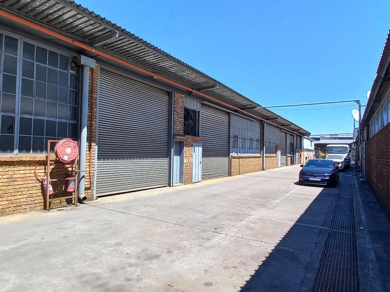 Industrial exterior view featuring multiple roller shutter doors, brick facade, and concrete driveway access with integrated drainage.