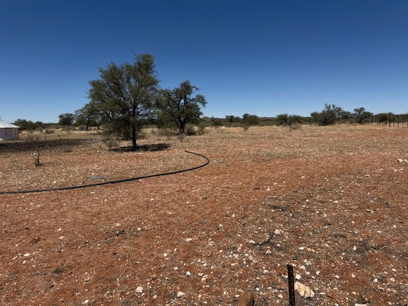 URGENT FARM SALE - Photo 7