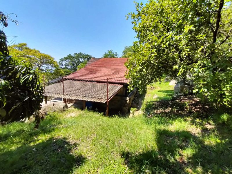 Small holding on the Clarmont road - Photo 6