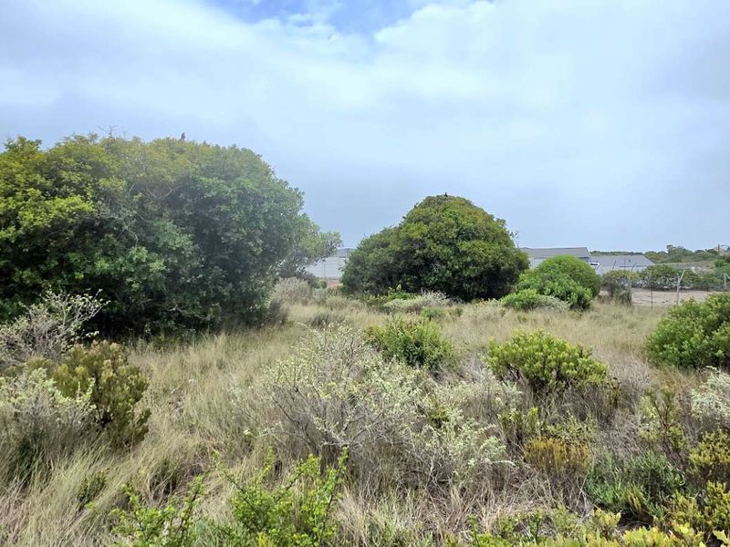 Prime 618m2 Vacant Stand for Sale in Van Dyksbaai / Kleinbaai – Fully Serviced & Level - Photo 8