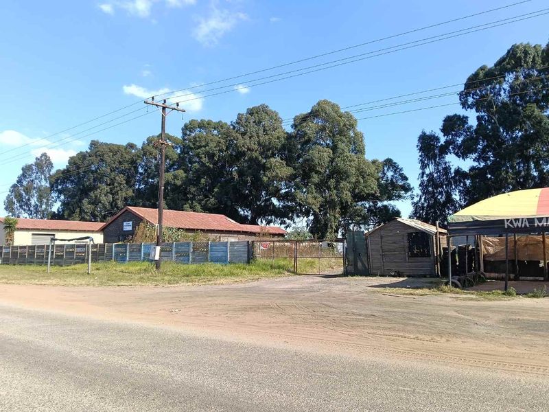 URGENT BUSINESS PROPERTY  FOR SALE IN ELOFF, DELMAS - Photo 3
