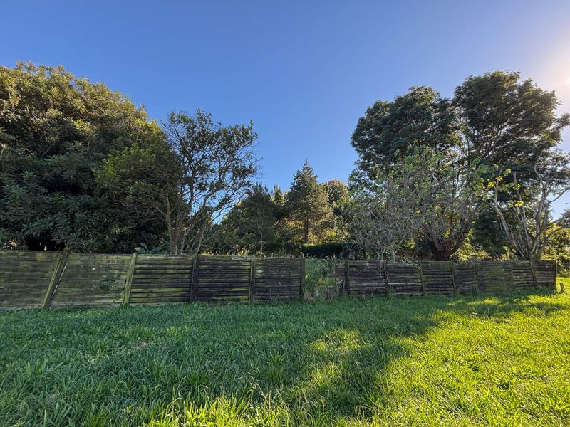 Prime Opportunity on Howick’s Main Artery - Photo 2