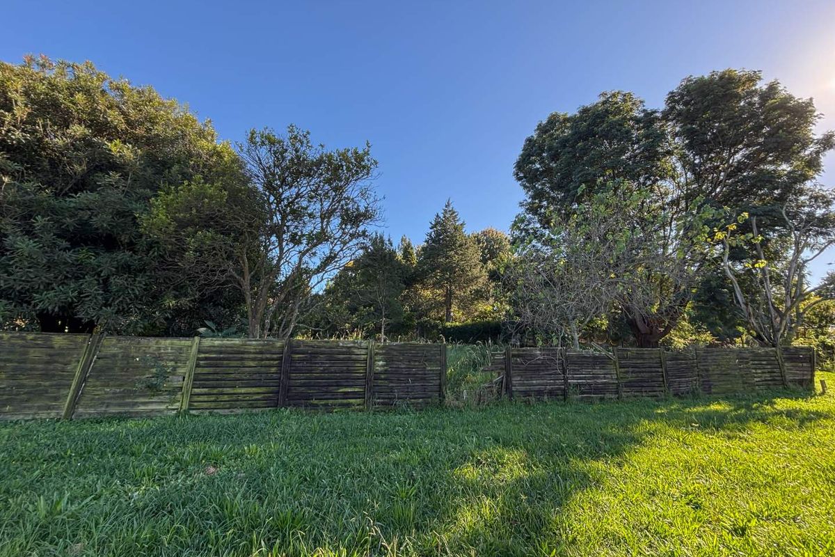 Prime Opportunity on Howick’s Main Artery - Photo 2