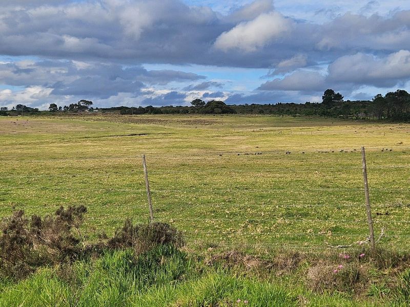 Get back-to-basics in beautiful B-Bos - Photo 7