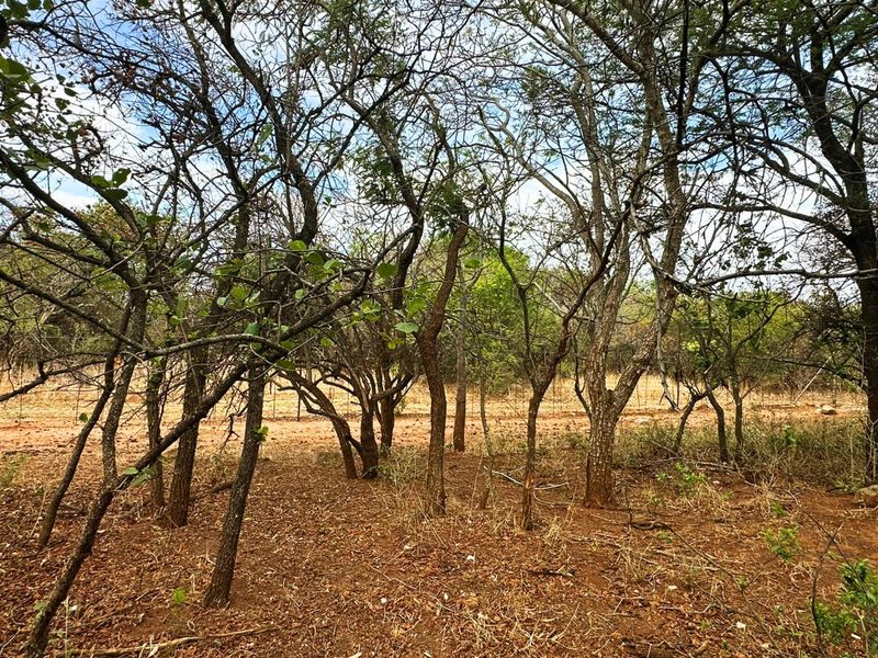 Vacant Stand for Sale in Kampersrus - Photo 6