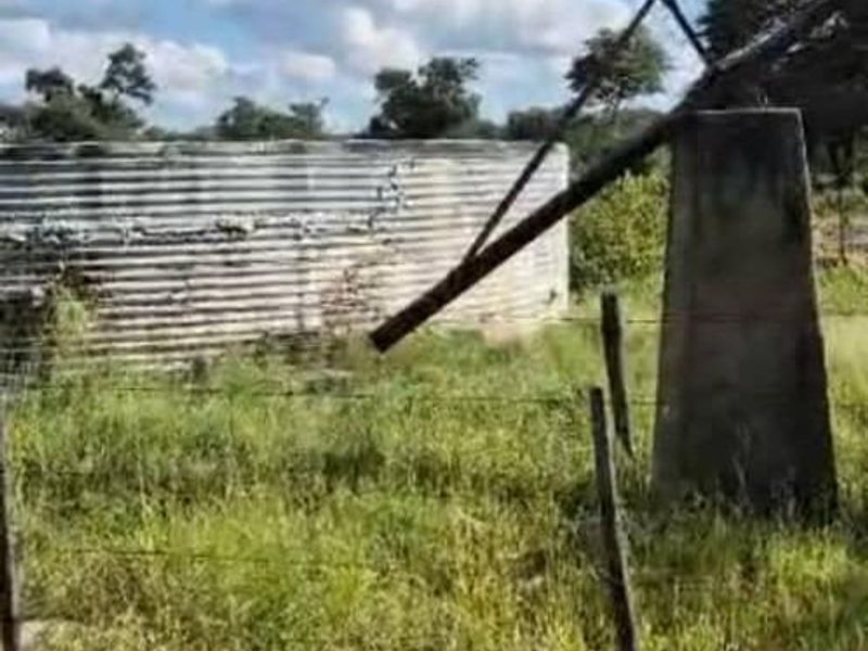 Farm For Sale - Photo 8