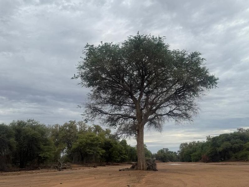 Live the Dream: 1500ha of Untamed Damaraland Bliss! - Photo 3