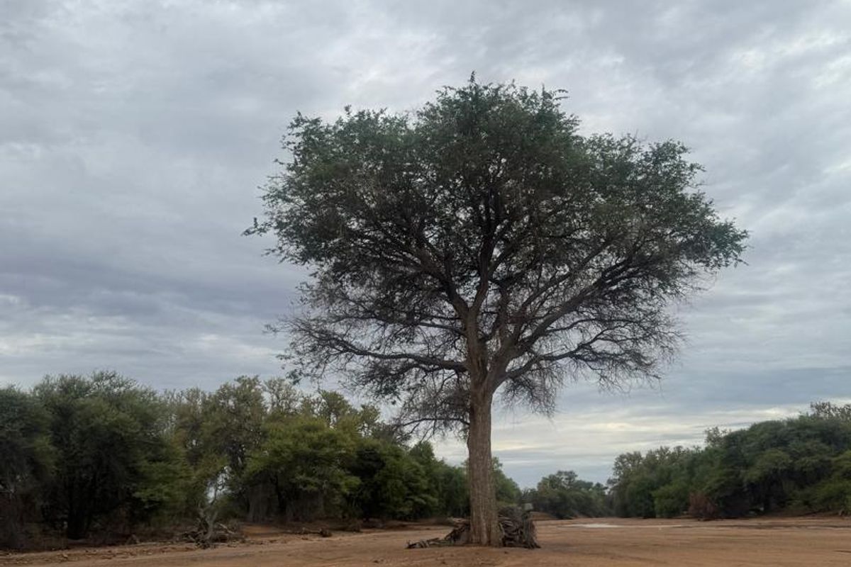 Live the Dream: 1500ha of Untamed Damaraland Bliss! - Photo 3