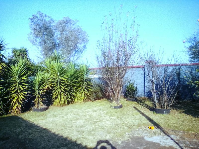A private garden area featuring established trees, shrubs, and a perimeter boundary wall.