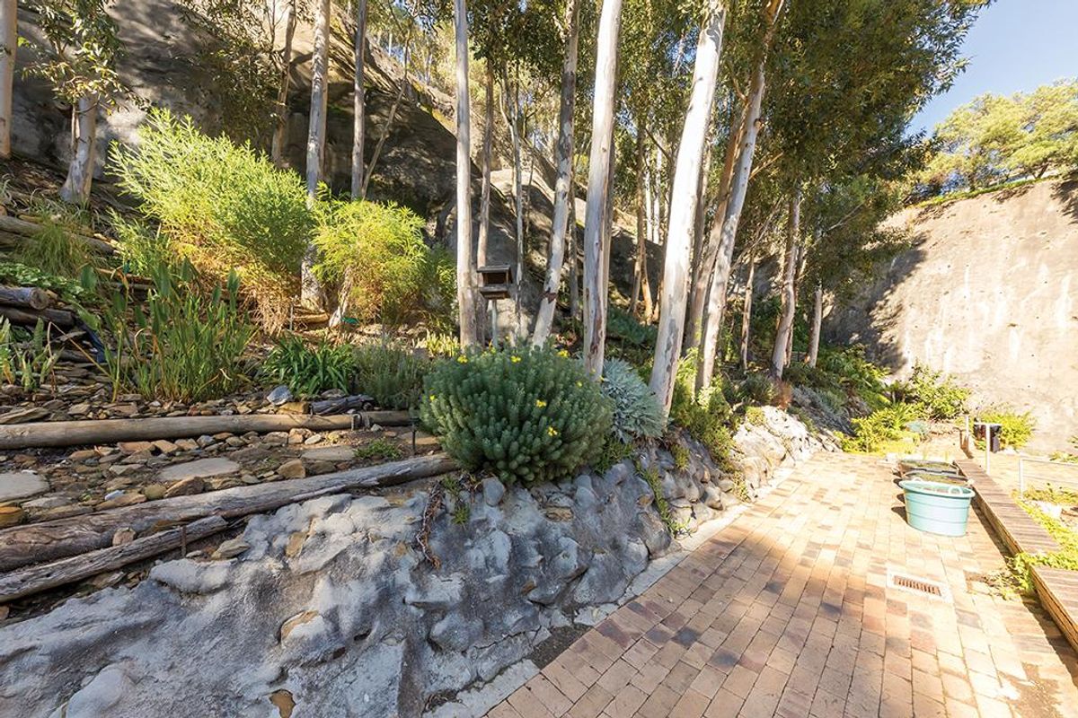 Xmas in July - Sunny Fresnaye Showstopper with Garage - Photo 5