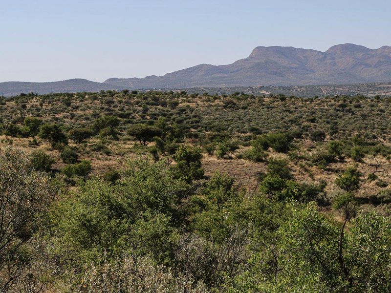 Brand New Development - Ready to Build - Photo 3