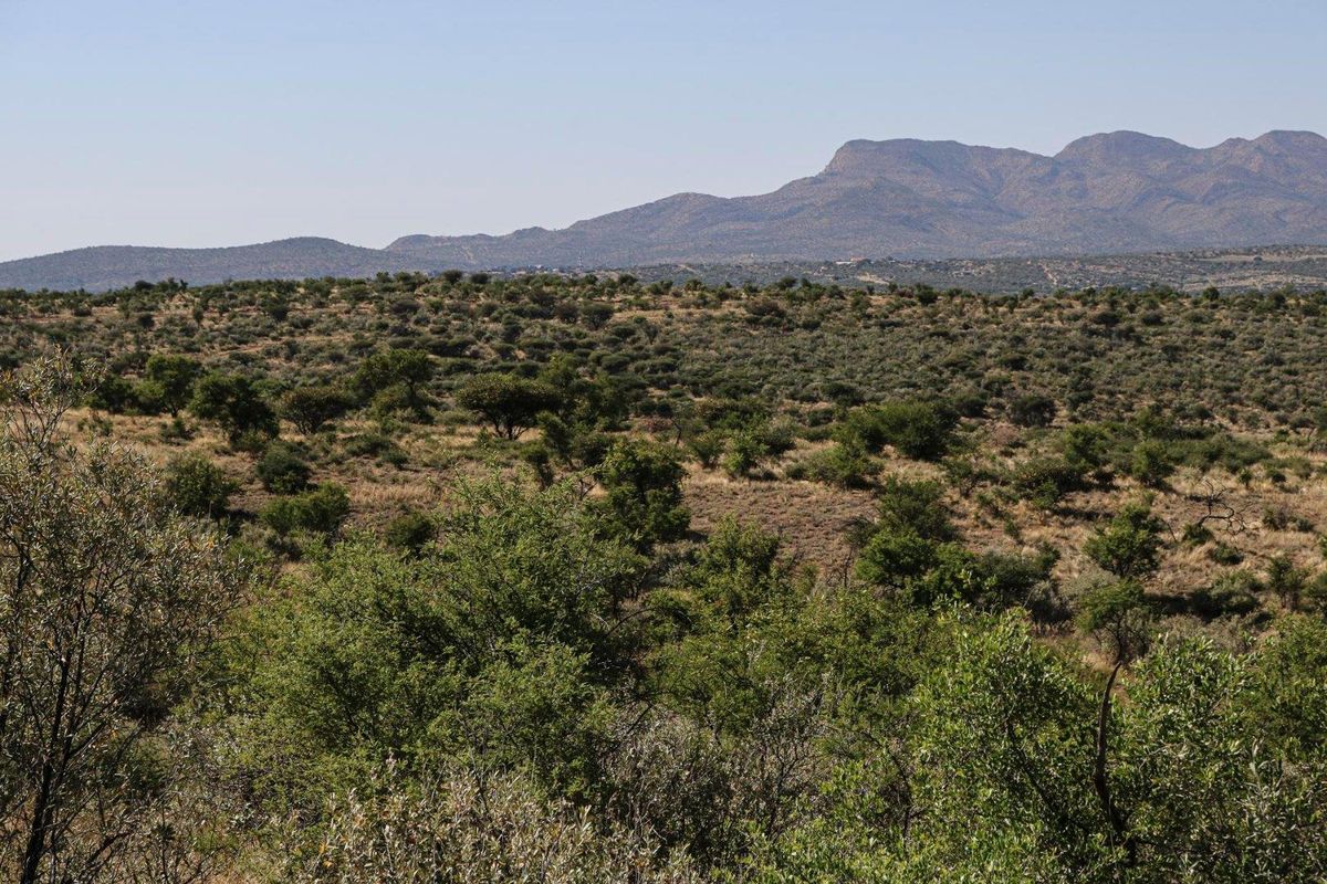 Brand New Development - Ready to Build - Photo 3