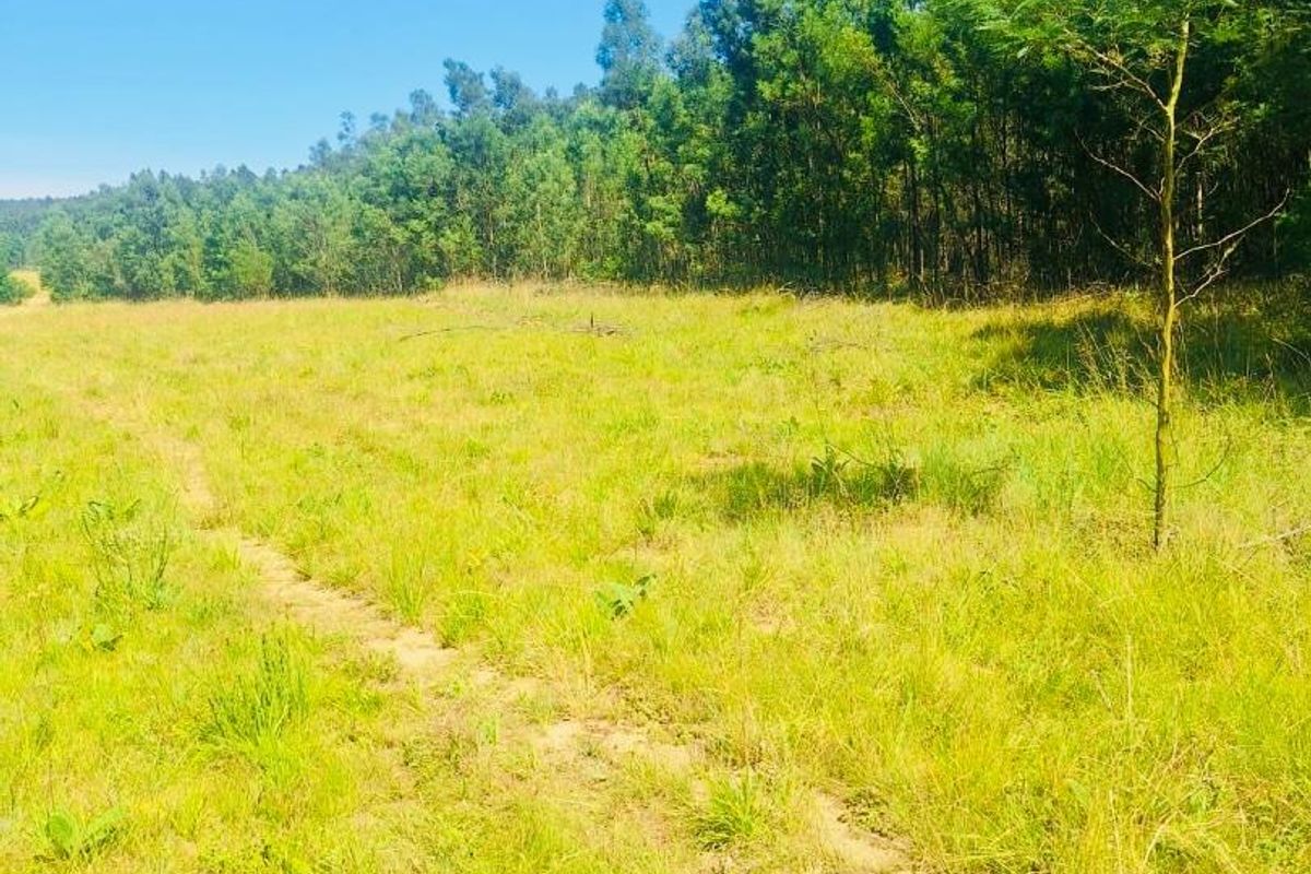 farm for sale in Vryheid area - Photo 4