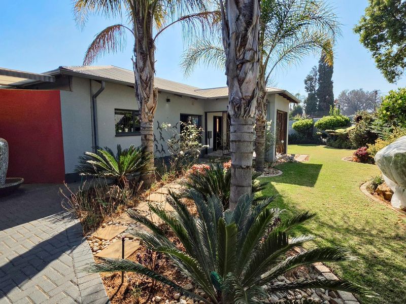 A well-maintained rear garden featuring a paved patio area, established palm trees, and a lush lawn, providing a pleasant outdoor living space.