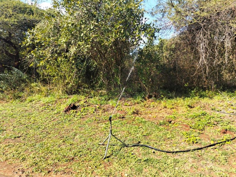 Vacant land for sale Malelane - Photo 6