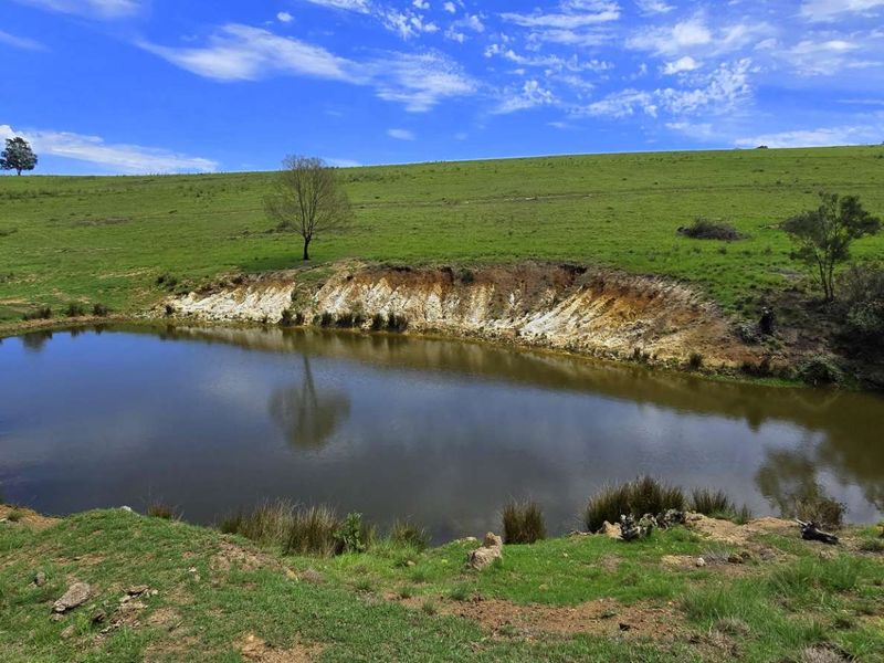 Spectacular Agricultural Opportunity in Ruiterbosch - Photo 6