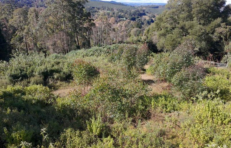Vacant Land for Sale in Winterskloof, Hilton