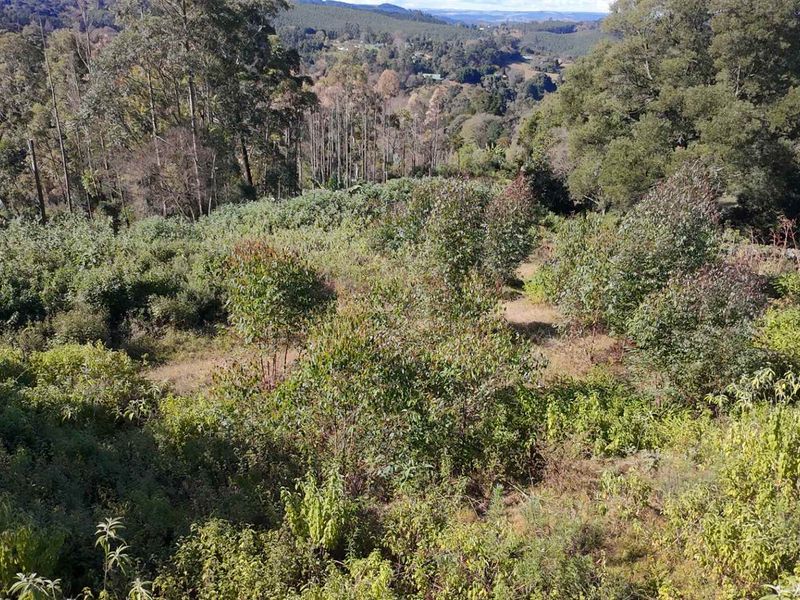 A scenic view of the sloped, naturally vegetated residential land, showcasing the surrounding wooded landscape and topography.