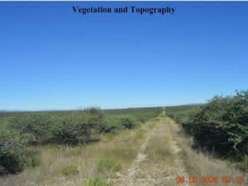 A view of the farm landscape showing the natural vegetation, topography, and an unpaved access track.
