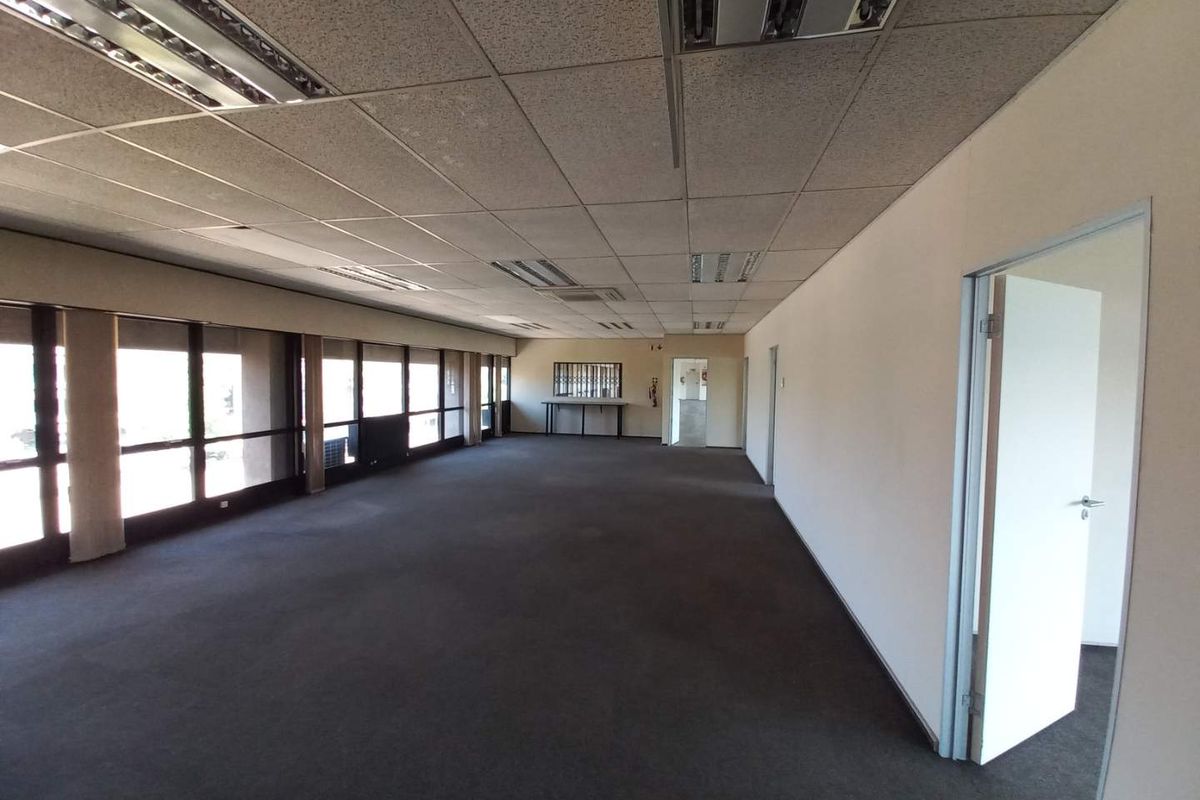 Spacious open-plan office area featuring large windows, suspended ceiling with integrated lighting, and neutral carpeting throughout.