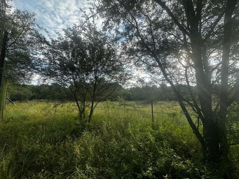 Your Dream Awaits! - Photo 2