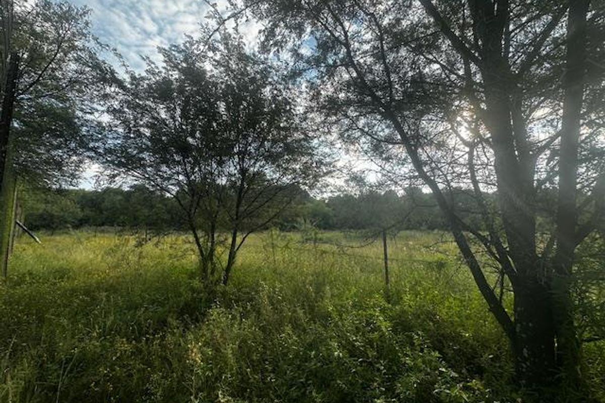 Your Dream Awaits! - Photo 2