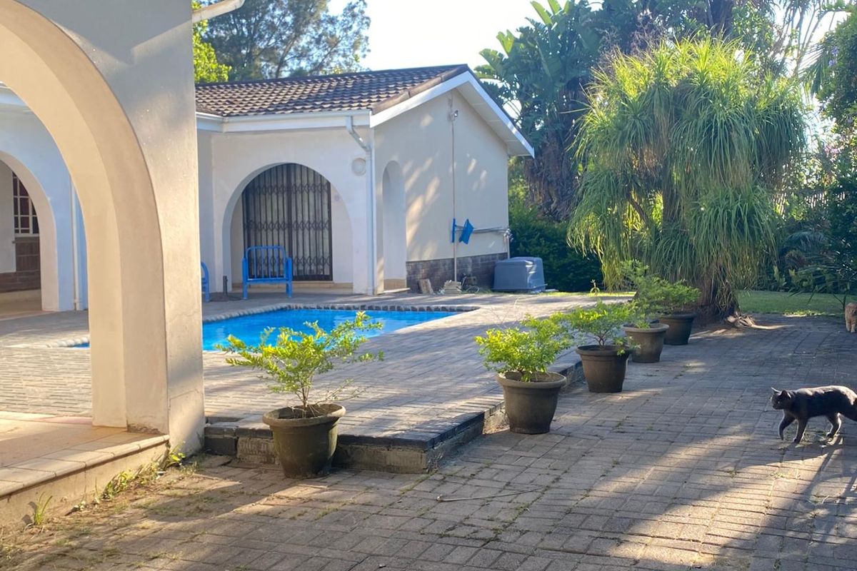 Rare Investment Opportunity – Guesthouse & Wellness Centre Potential - Photo 2