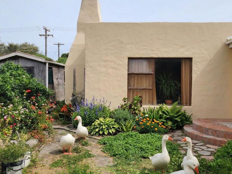 UYLEN KRAAL Farm, Gansbaai  – 42.8266 ha Lifestyle & Agricultural Opportunity - Photo 7