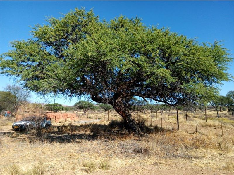Two Spacious 1600 sqm Plots with Reliable Borehole Water - Photo 3