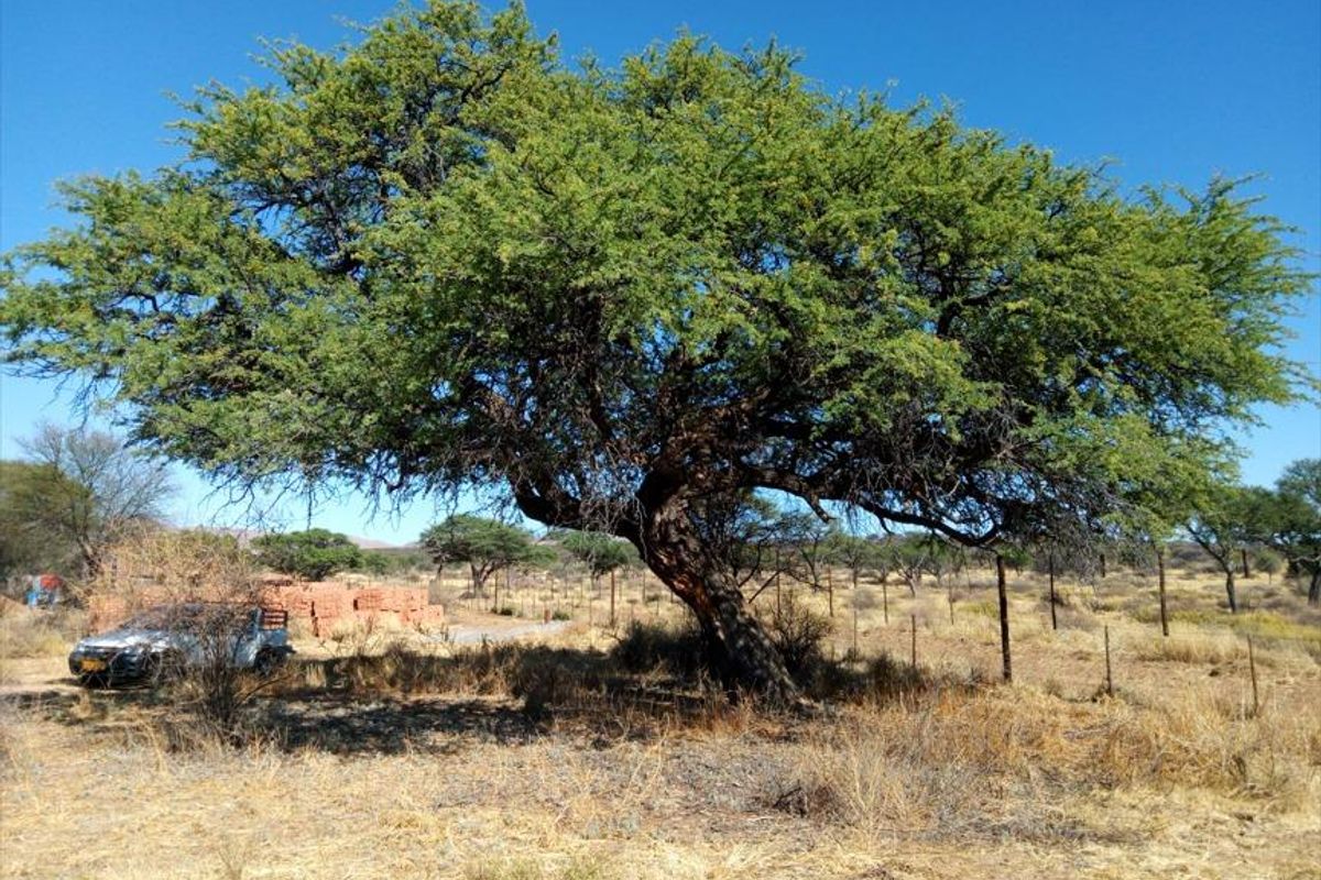 Two Spacious 1600 sqm Plots with Reliable Borehole Water - Photo 3