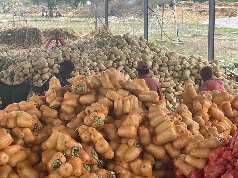 Exceptional Agricultural Estate with Off-Grid Solar Plant and All-Inclusive Goods - Photo 10